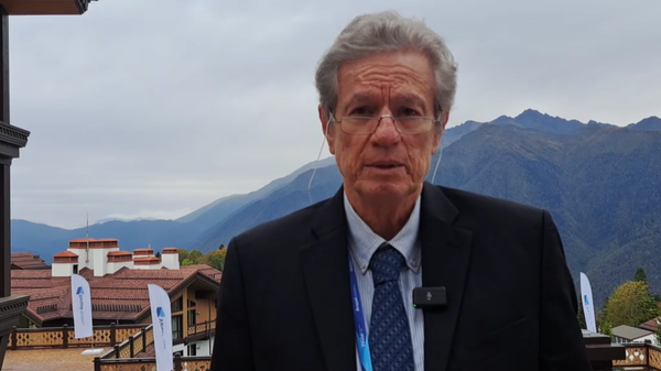 巴西经济学家：美元的主要敌人正是美国自己 - 俄罗斯卫星通讯社