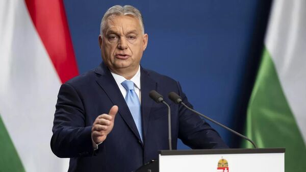 匈牙利总理欧尔班 - 俄罗斯卫星通讯社