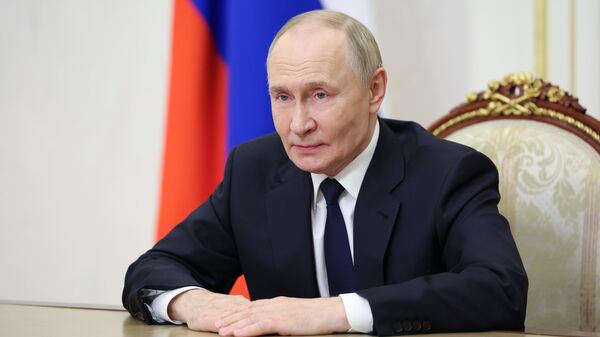 俄罗斯总统弗拉基米尔·普京 - 俄罗斯卫星通讯社