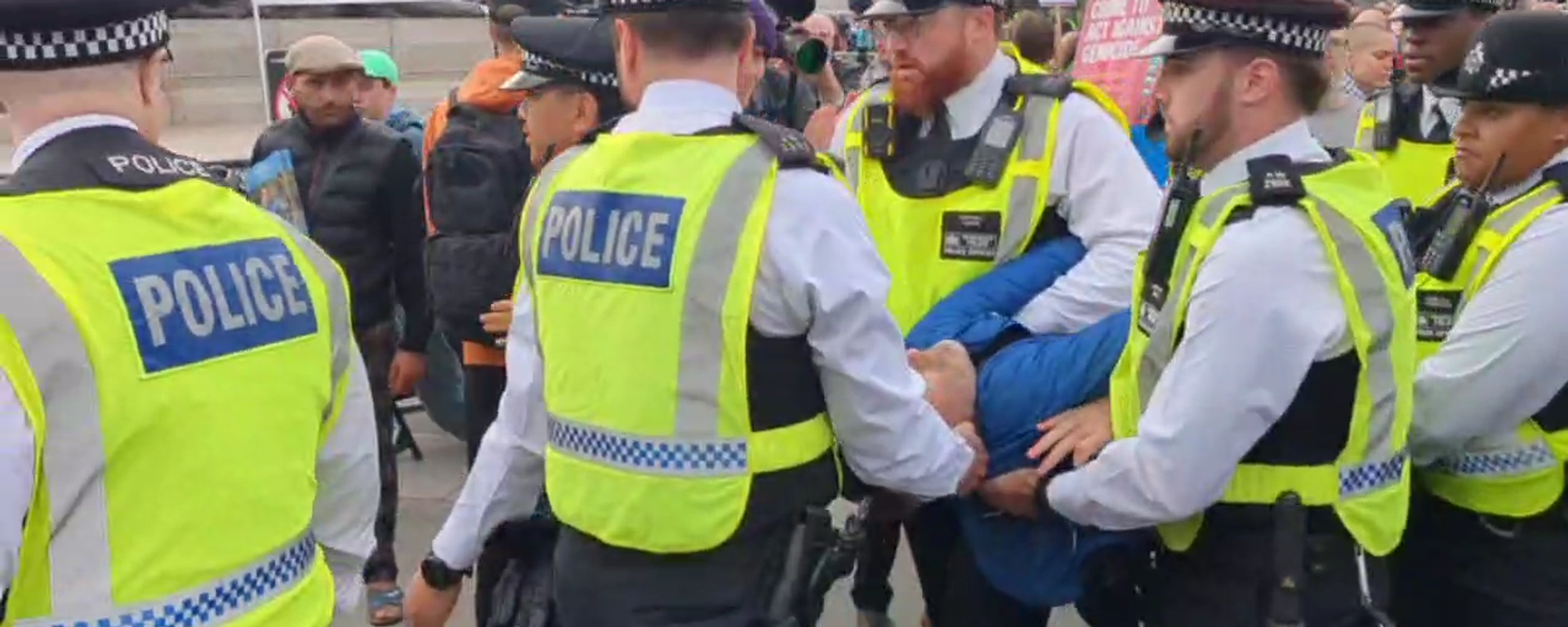伦敦警方逮捕数十名参加声援“巴勒斯坦行动”集会的人士 - 俄罗斯卫星通讯社, 1920, 04.10.2025