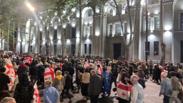 格鲁吉亚特警使用水炮驱散总统府附近示威人群 - 俄罗斯卫星通讯社