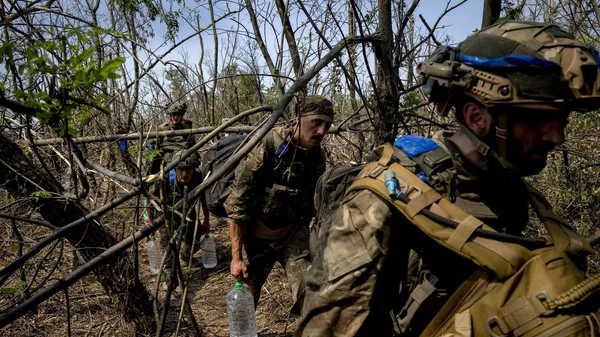 烏軍 - 俄羅斯衛星通訊社