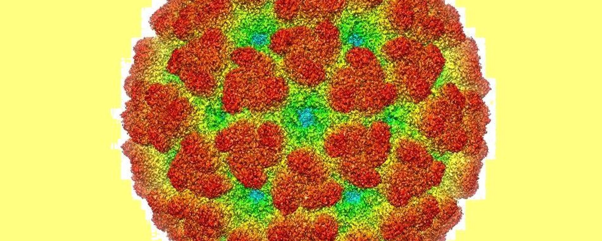 基孔肯雅热病毒 - 俄罗斯卫星通讯社, 1920, 07.10.2025