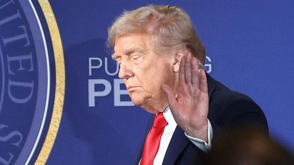 美国总统特朗普 - 俄罗斯卫星通讯社