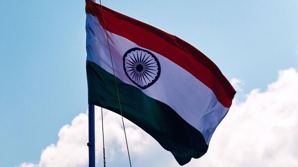 印度国旗 - 俄罗斯卫星通讯社