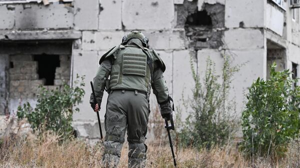 俄库尔斯克州超90居民点的排雷工作在朝鲜专家的参与下已完成 - 俄罗斯卫星通讯社