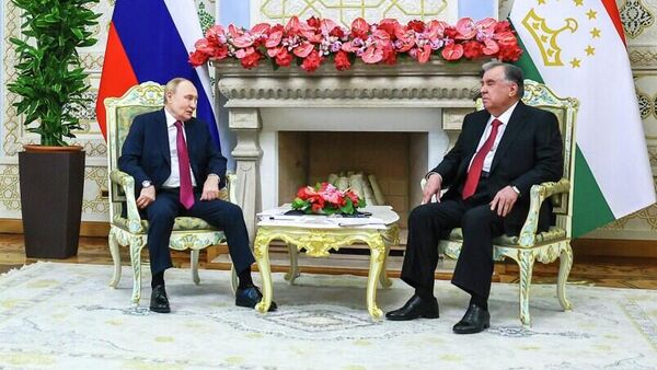 普京：俄罗斯和塔吉克斯坦计划在2030年前将双边贸易额增加1.5倍 - 俄罗斯卫星通讯社