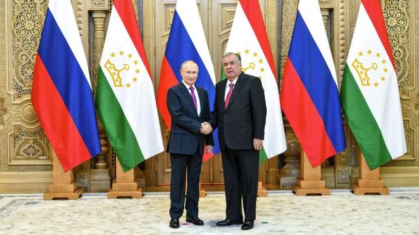 普京会晤拉赫蒙：俄塔关系正在全方位积极发展 - 俄罗斯卫星通讯社