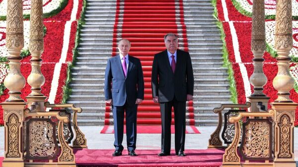 普京：与塔吉克斯坦总统讨论国际和地区问题 - 俄罗斯卫星通讯社