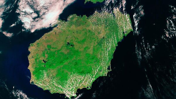 海南岛 - 俄罗斯卫星通讯社