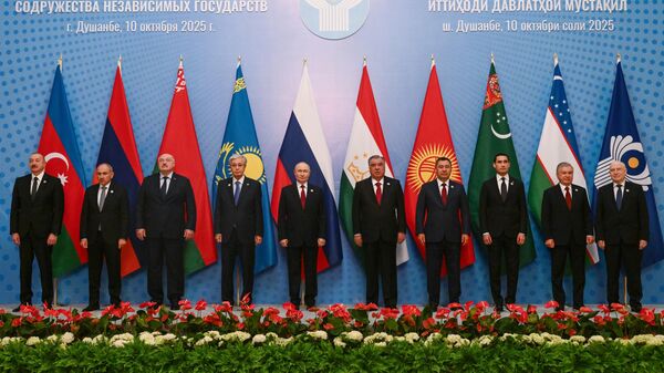 独联体国家领导人批准《2030年前独联体成员国军事合作构想》 - 俄罗斯卫星通讯社