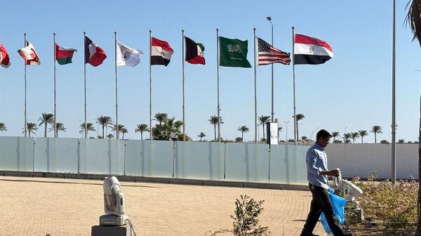 埃及总统办公室：已有20个国家确认参加在沙姆沙伊赫举行的“和平峰会” - 俄罗斯卫星通讯社