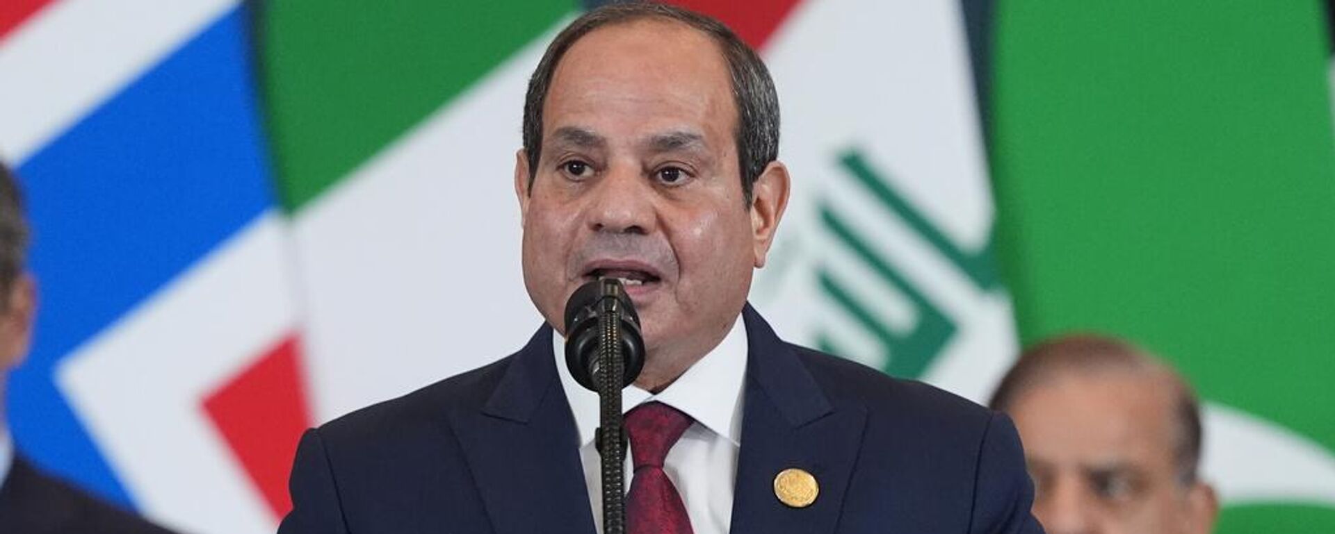 埃及总统阿卜杜勒-法塔赫·塞西 - 俄罗斯卫星通讯社, 1920, 14.10.2025