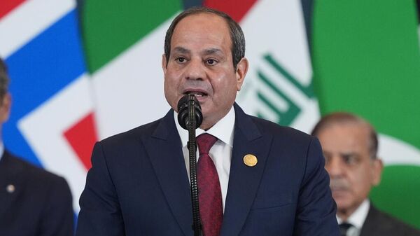 埃及总统阿卜杜勒-法塔赫·塞西 - 俄罗斯卫星通讯社