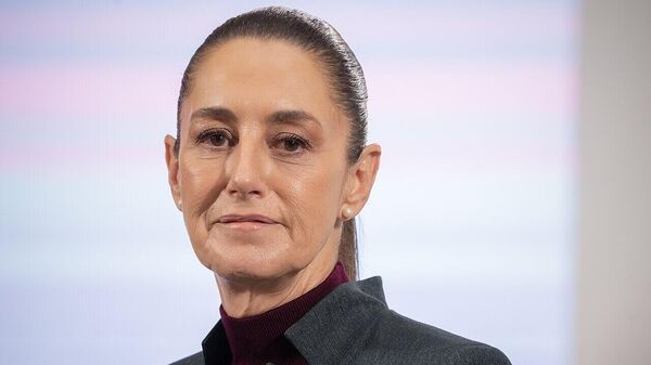 墨西哥总统克劳迪娅•辛鲍姆 - 俄罗斯卫星通讯社