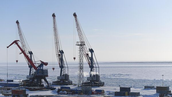 北极航线 - 俄罗斯卫星通讯社