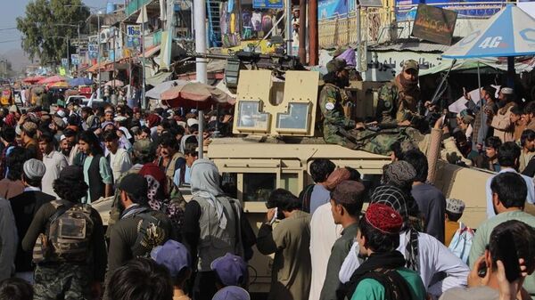 塔利班 - 俄罗斯卫星通讯社