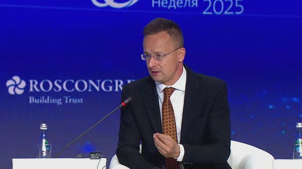 匈牙利外长：匈牙利不允许任何国家对匈购买能源加以指点 - 俄罗斯卫星通讯社