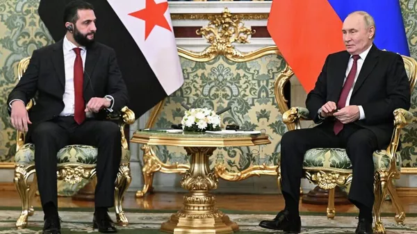 普京会见叙利亚过渡时期总统时指出，俄叙关系发展方面已取得诸多进展 - 俄罗斯卫星通讯社