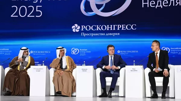 歐佩克+盛贊與俄羅斯牢固合作，放眼十週年 - 俄羅斯衛星通訊社