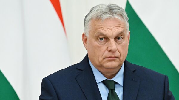 欧尔班：俄美峰会成功对匈牙利具有根本性的生存利益 - 俄罗斯卫星通讯社