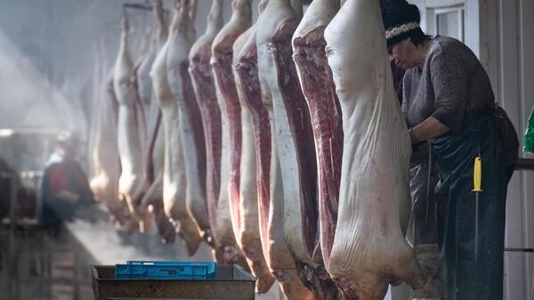 猪肉 - 俄罗斯卫星通讯社