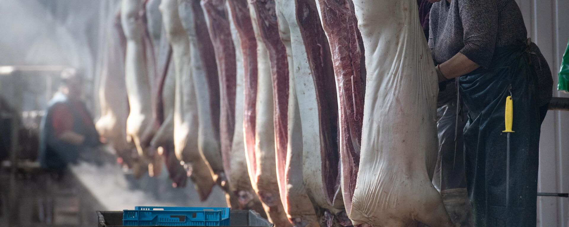 豬肉 - 俄羅斯衛星通訊社, 1920, 17.10.2025