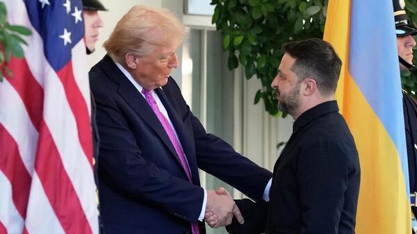 專家：澤連斯基和特朗普步調並不一致 - 俄羅斯衛星通訊社