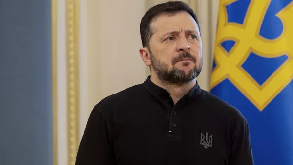 泽连斯基 - 俄罗斯卫星通讯社