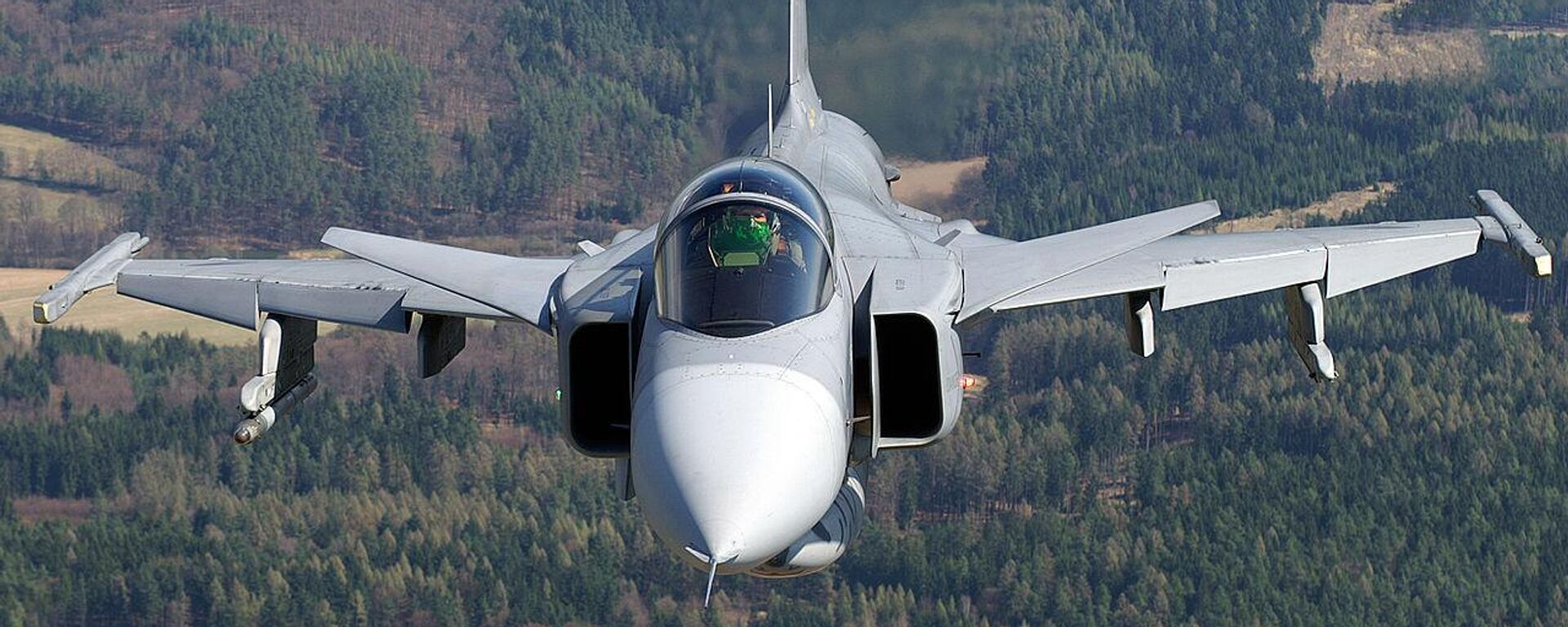 “鷹獅”（Saab 39 Gripen）戰鬥機 - 俄羅斯衛星通訊社, 1920, 21.10.2025