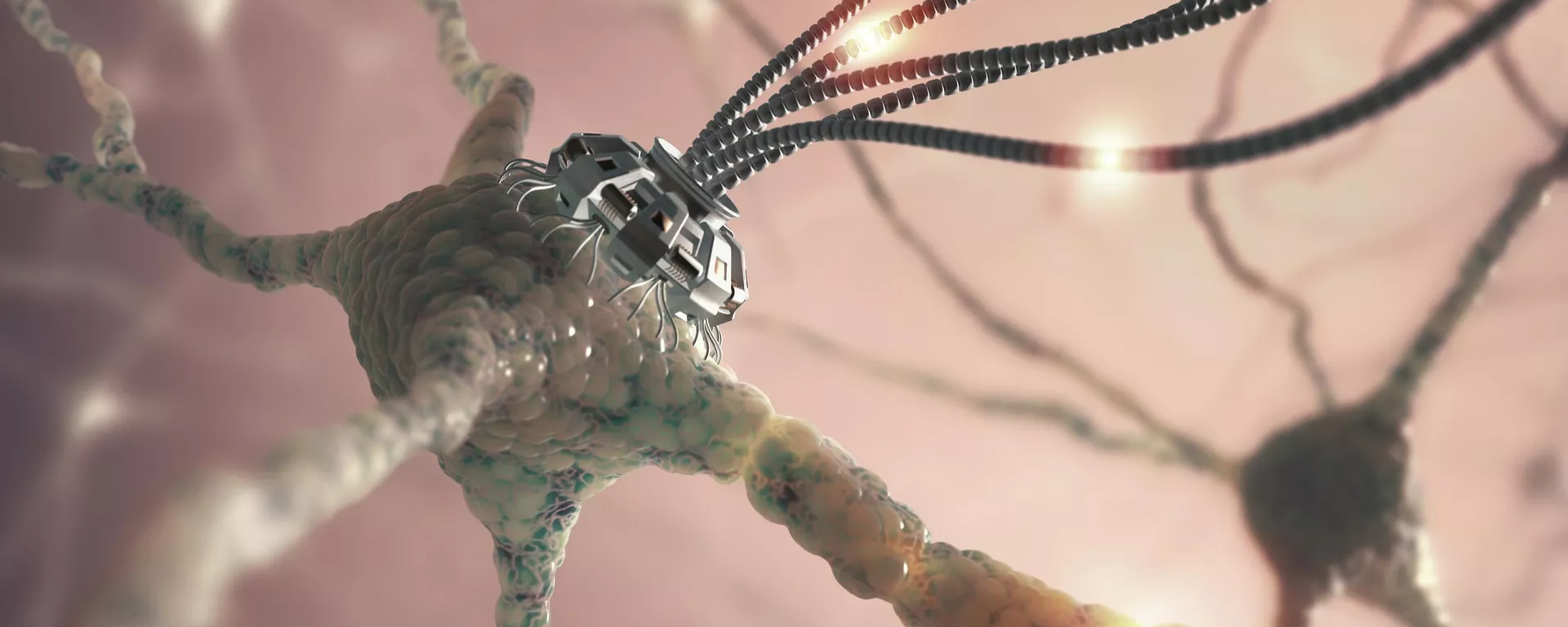 俄科學家研制出用於大腦研究的人工神經元 - 俄羅斯衛星通訊社, 1920, 22.10.2025