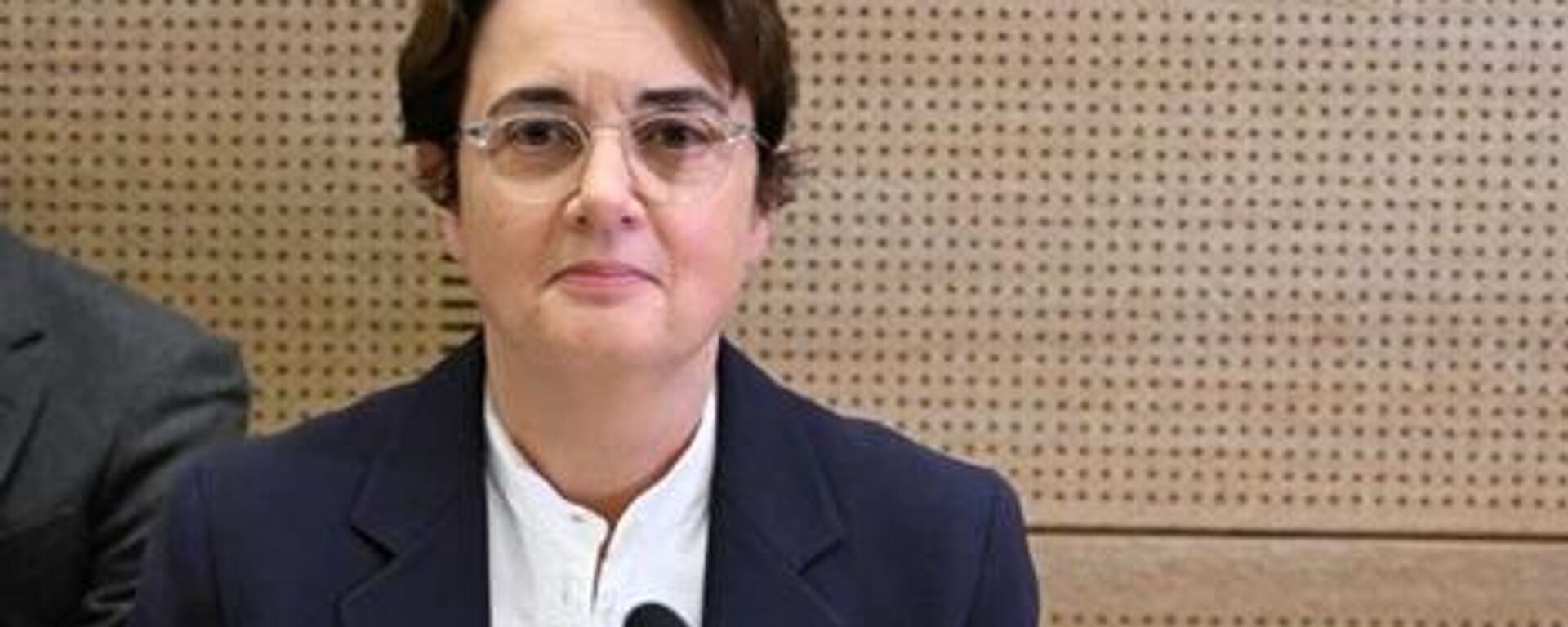 卢浮宫馆长承认安保存在薄弱环节：提出辞职，遭到拒绝 - 俄罗斯卫星通讯社, 1920, 23.10.2025