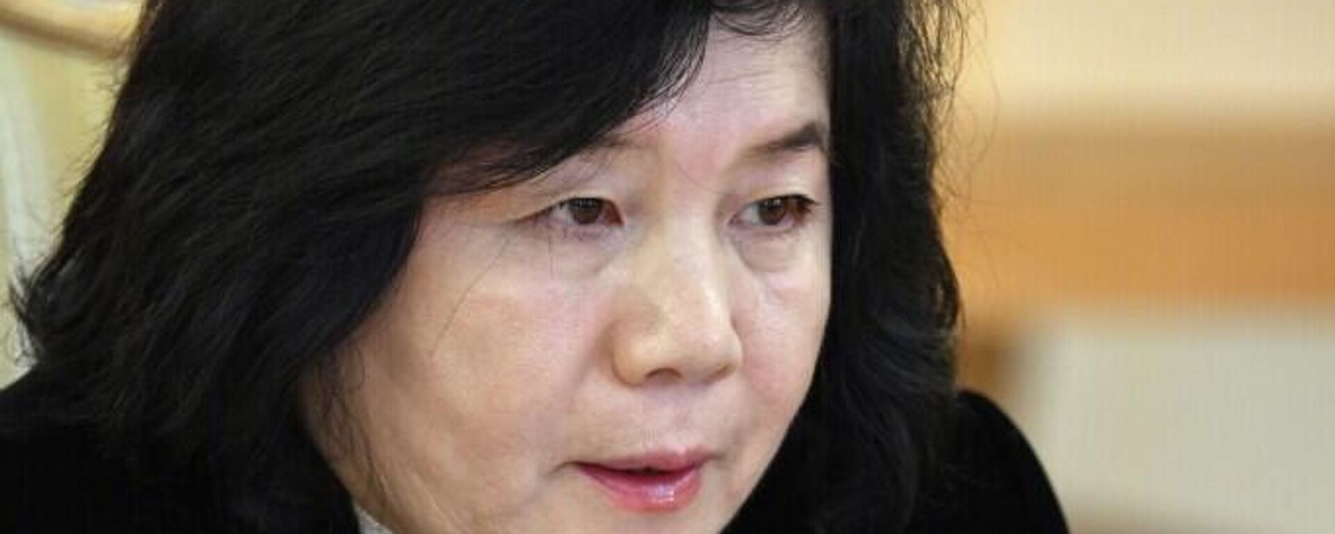 朝鮮外相：平壤支持俄羅斯維護領土完整的政策 - 俄羅斯衛星通訊社, 1920, 27.10.2025