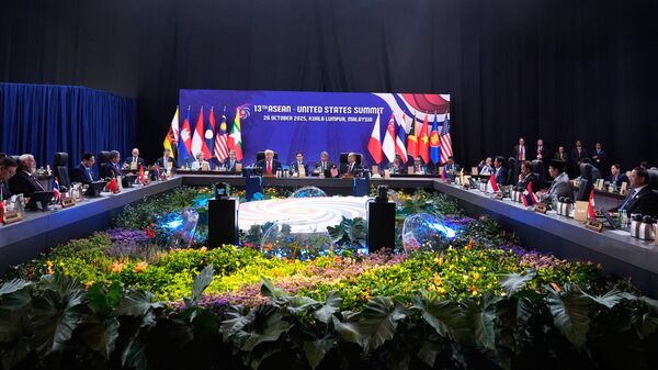 美国政府在与马来西亚和柬埔寨的贸易协定中加入“恶意条款” - 俄罗斯卫星通讯社