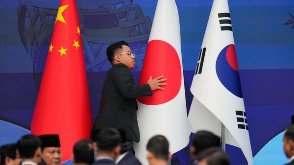 中日韩峰会受阻：日方破坏合作根基，责任不容推卸 - 俄罗斯卫星通讯社