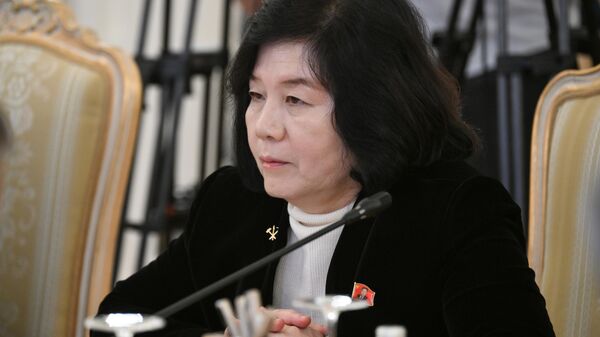 朝鲜外务相：俄朝外交部门定期接触有助于加强政治互信 - 俄罗斯卫星通讯社