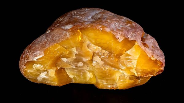 Янтарный самородок Рекордсмен - 俄罗斯卫星通讯社