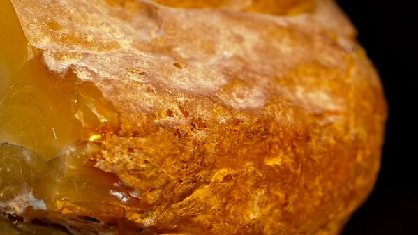 名为“破纪录者”的琥珀石 - 俄罗斯卫星通讯社