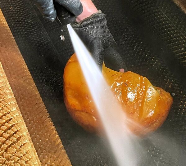 名为“破纪录者”的琥珀石 - 俄罗斯卫星通讯社