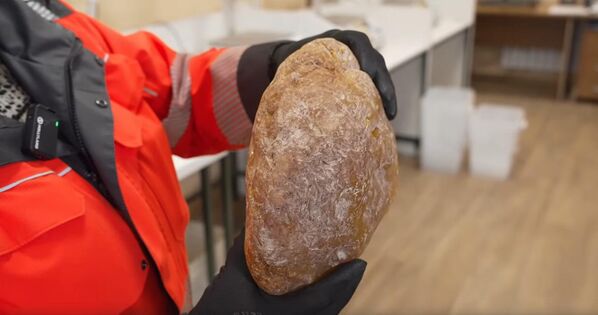 名为“破纪录者”的琥珀石 - 俄罗斯卫星通讯社