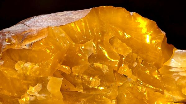 名为“破纪录者”的琥珀石 - 俄罗斯卫星通讯社