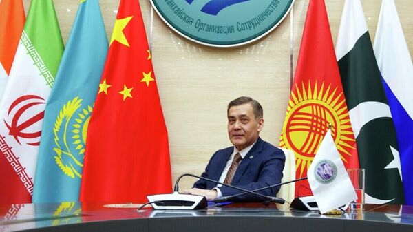 上合组织秘书长：实现可持续发展目标面临诸多挑战，必须发挥上合组织潜力 - 俄罗斯卫星通讯社