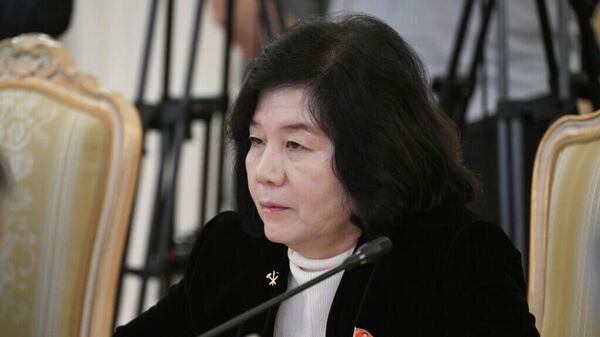 朝鲜外务相崔善姬 - 俄罗斯卫星通讯社