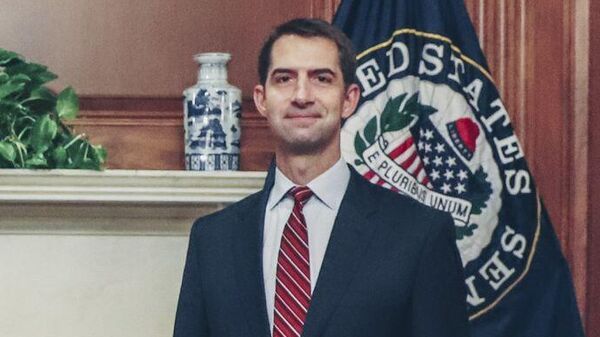 美国参议院情报委员会主席汤姆·科顿 - 俄罗斯卫星通讯社