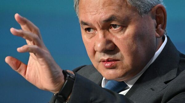 绍伊古：欧洲演习演练的是针对“东方敌人”的侵略行动 - 俄罗斯卫星通讯社