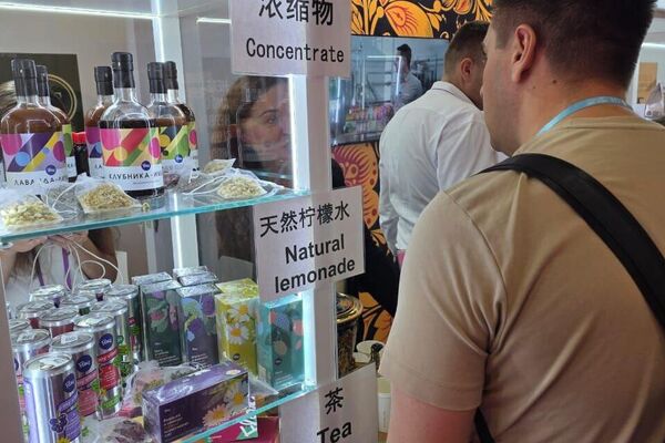 俄罗斯40家企业齐聚第136届广交会 俄罗斯40家企业齐聚第136届广交会 - 俄罗斯卫星通讯社