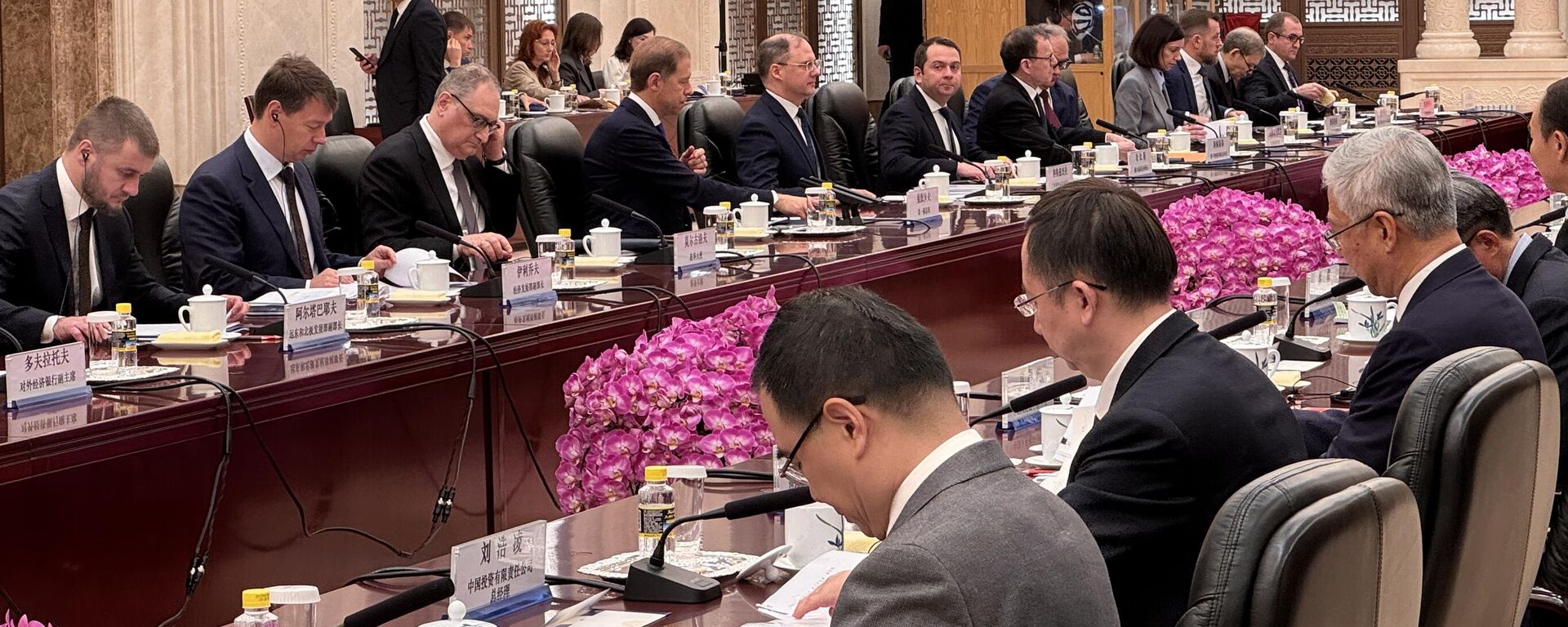 丁薛祥与俄第一副总理曼图罗夫在北京就投资合作机制进行磋商  - 俄罗斯卫星通讯社, 1920, 01.11.2025