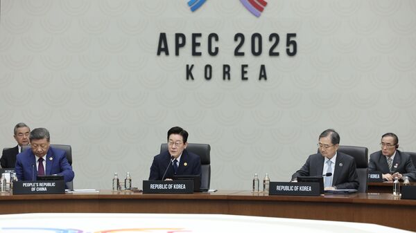 韩国总统宣布亚太经合组织成员国通过《庆州宣言》 - 俄罗斯卫星通讯社