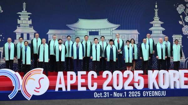 Саммит АТЭС в Южной Корее - 俄罗斯卫星通讯社