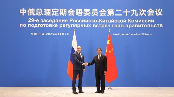 中俄總理定期會晤委員會第二十九次會議在寧波舉行 - 俄羅斯衛星通訊社